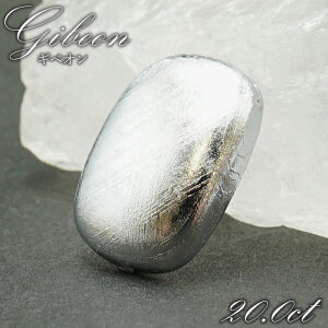 ギベオン ルース 【一点物】 メッキ加工 ナミビア産 宇宙のパワー rare隕石 チャネリング 浄化 天然石 パワーストーン カラーストーン