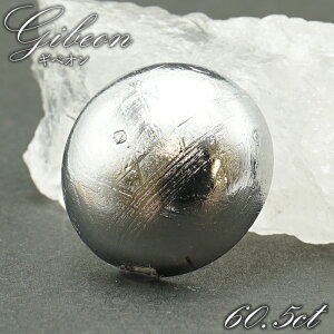 yyVX[p[SALE 30%OFFz MxI [X Eh () y_z bLH i~rAY F̃p[ rare覐 `lO  VR p[Xg[ J[Xg[ wQ2q8