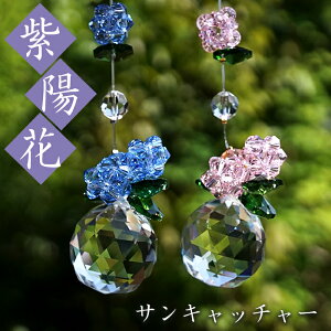 TLb`[ sN u[ t KX r[Y IWi 蕨 CeA G  z J^ LL VR p[Xg[ J[Xg[