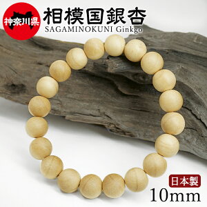 ���͍����(�����݂̂��ɂ����傤) �u���X���b�g 10mm �_�ސ쌧 �y���{���؁z47�s���{�� SAGAMINOKUNI Ginkgo ���А� ���{�� �V�R�� �p���[�Y�E�b�h