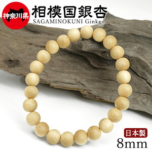 ���͍����(�����݂̂��ɂ����傤) �u���X���b�g 8mm �_�ސ쌧 �y���{���؁z47�s���{�� SAGAMINOKUNI Ginkgo ���А� ���{�� �V�R�� �p���[�Y�E�b�h