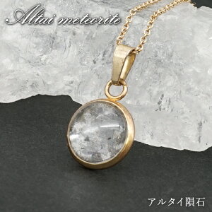 A^C覐 y_ggbv VdECOY y _ z Altai meteorite Eh 覐 `lO  VR p[Xg[ J[Xg[