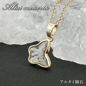 A^C覐 y_ggbv VdECOY y _ z Altai meteorite X 覐 `lO  VR p[Xg[ J[Xg[