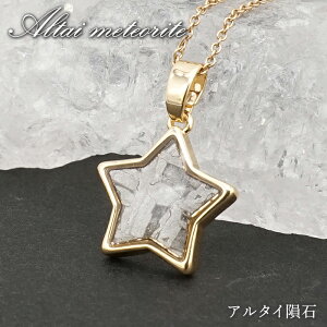 A^C覐 y_ggbv VdECOY y _ z Altai meteorite ^ 覐 `lO  VR p[Xg[ J[Xg[