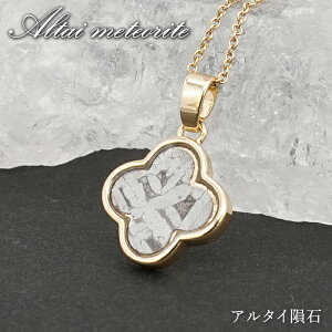 A^C覐 y_ggbv VdECOY y _ z Altai meteorite  覐 `lO  VR p[Xg[ J[Xg[