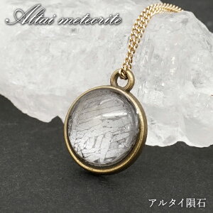 A^C覐 y_ggbv VdECOY y _ z Altai meteorite Eh 覐 `lO  VR p[Xg[ J[Xg[