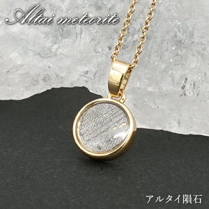 A^C覐 y_ggbv VdECOY y _ z Altai meteorite Eh 覐 `lO  VR p[Xg[ J[Xg[