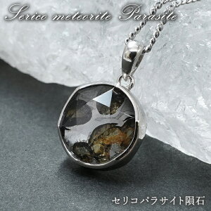 ZRpTCg y_ggbv Z䊐Jbg SV925 PjAY y_z Serico meteorite Parasite pTCg 覐  VR p[Xg[ J[Xg[