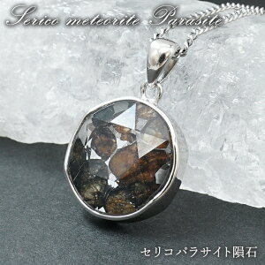 ZRpTCg y_ggbv Z䊐Jbg SV925 PjAY y_z Serico meteorite Parasite pTCg 覐  VR p[Xg[ J[Xg[