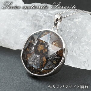 ZRpTCg y_ggbv Z䊐Jbg SV925 PjAY y_z Serico meteorite Parasite pTCg 覐  VR p[Xg[ J[Xg[