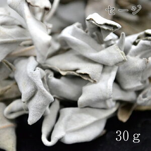 zCgZ[W30g@򉻃n[u J[Xg[