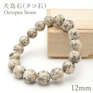 ������(�^�R�΁j�u���X���b�g 12mm �� ���{���� Octopus Stone ���R�� �z�� �V�R�� �p���[�X�g�[�� �J���[�X�g�[��
