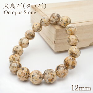 ������(�^�R�΁j�u���X���b�g 12mm �� ���{���� Octopus Stone ���R�� �z�� �V�R�� �p���[�X�g�[�� �J���[�X�g�[��