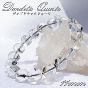fh`bNNH[c uXbg 11mm }_KXJYy _ zDendrtic Quartz `NH[c ` CNH[c   VR p[Xg[ J[Xg[