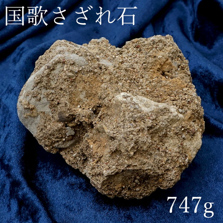楽天市場】【 一点物 】 国歌さざれ石 原石 岐阜県産 約747g 日本銘石  
