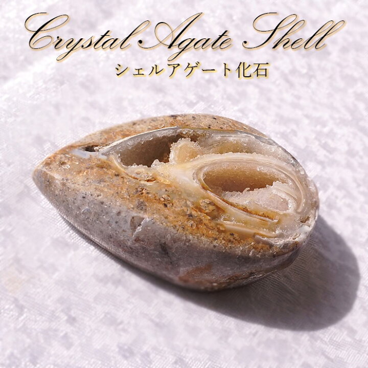 楽天市場】シェルアゲート インド産 化石 置物 【 一点物 】 agate 貝 