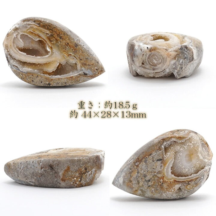 楽天市場】シェルアゲート インド産 化石 置物 【 一点物 】 agate 貝 