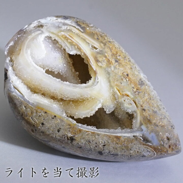 楽天市場】シェルアゲート インド産 化石 置物 【 一点物 】 agate 貝 