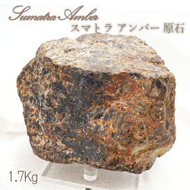 【 一点もの 】 ブルーアンバー 原石 インドネシア産 スマトラ島 スマトラアンバー 琥珀 化石 天然石 パワーストーン カラーストーン
