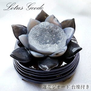 mE @ WI[h uWY ؐt 521g y _ z agate @̉ԃWI[h  ߂̂ WI[h ^ ^  u  t  VR p[Xg[ J[Xg[