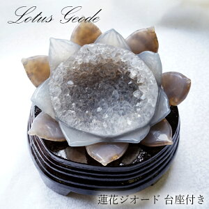 mE @ WI[h uWY ؐt 556g y _ z agate @̉ԃWI[h  ߂̂ WI[h ^ ^  u  t  VR p[Xg[ J[Xg[
