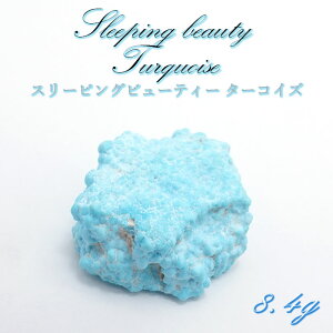 VR gR X[sOr[eB[^[RCY  9g p[Xg[ F  q[O bNX ^ ƒ^ R~jP[V\ ӎ IZX n 12a