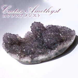 JN^XAWXg NX^[ EOACYy_z amethyst  2a NX^[ VR   u  p[Xg[ J[Xg[