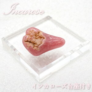 y_z CJ[Y  t A[`Y 11.0g Incarose VR p[Xg[ J[Xg[