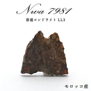 yyVX[p[SALE 30%OFFz y _ z NWA7981 rare覐 bRY ʃRhCg LL3 rare覐 RhCg  VR p[Xg[ J[Xg[ wQ2q8