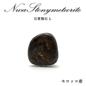 y _ z NWA Ύrare覐 bRY Ύrare覐L NWArare覐  rare覐 RhCg VR p[Xg[ J[Xg[