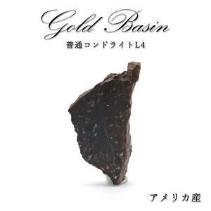 yyVX[p[SALE 30%OFFz y _ z S[hxCY rare覐 AJY ʃRhCgL4 S[hxCYrare覐 RhCg  VR p[Xg[ J[Xg[ wQ2q8