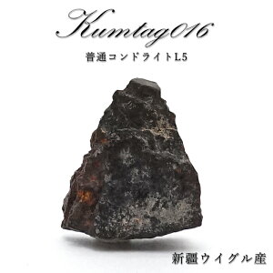 y _ z Kumtag016 rare覐 Y VdECO ʃRhCgL5 Kumtag016rare覐 RhCg  VR p[Xg[ J[Xg[
