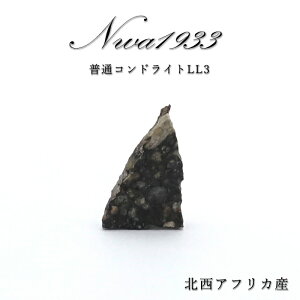 y _ z NWA1933 rare覐 kAtJY ʃRhCgLL3 NWA1933rare覐 RhCg  VR p[Xg[ J[Xg[