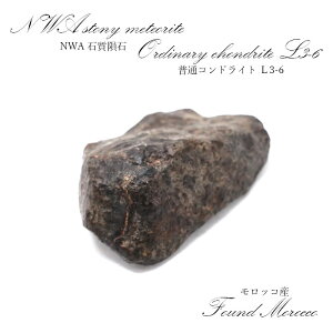 �y��_���z NWA�Ύ�rare覐� �����b�R�Y ���ʃR���h���C�g L3-6 Stony meteorite Ordinary chondrite �J���[�X�g�[��
