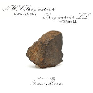 �y��_���z NWA�Ύ�rare覐� �����b�R�Y �Ύ�rare覐�LL Stony meteorite �J���[�X�g�[��