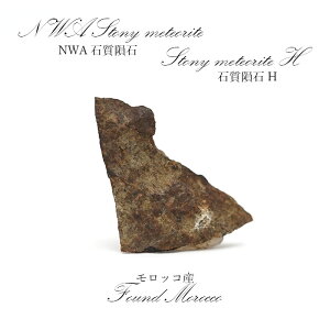 �y��_���z NWA�Ύ�rare覐� �����b�R�Y �Ύ�rare覐�H Stony meteorite �J���[�X�g�[��