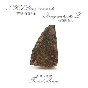 �y��_���z NWA�Ύ�rare覐� �����b�R�Y �Ύ�rare覐�L Stony meteorite �J���[�X�g�[��