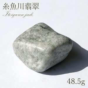 y _ zy  z Ő  VY Ђ qXC  d WF_Ch 5a Ђ p[Xg[ VR J[Xg[