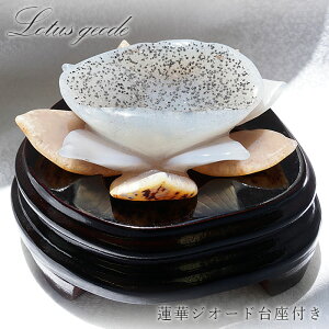 mE @ WI[h uWY ؐt y _ z agate @̉ԃWI[h  ߂̂ WI[h ^ ^  u  t  VR p[Xg[ J[Xg[