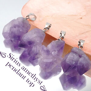 y _ z VEXAWXg  y_ggbv PjAY Vo[ { AWXg 2a TOP ANZT[ t amethyst   VR p[Xg[ J[Xg[