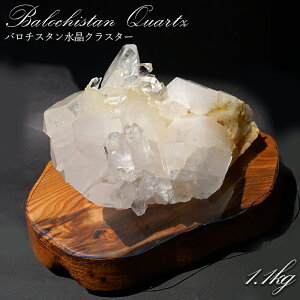o`X^  NX^[ y_z pLX^Y Baluchistan Quartz H  VR p[Xg[ J[Xg[