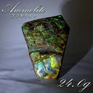 y _ z ACg  Ji_Y 24.0g AiCg  󏭐  VR p[Xg[ J[Xg[