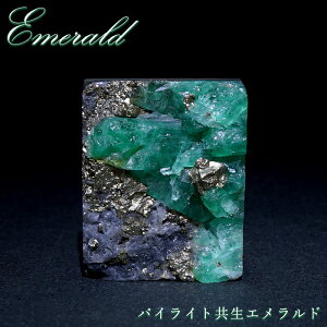 pCCgGh XNGA 91.25ct RrAE`{[zRY y_́z [X  Β 5a VR p[Xg[ J[Xg[