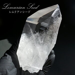 AV[h  532.3g uWY _ Lemurian Seed H  VR p[Xg[ J[Xg[