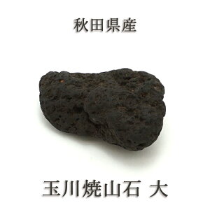 ʐĎR   HcY { n ΎR   VR p[Xg[