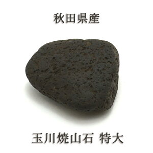 ʐĎR   HcY { n ΎR   VR p[Xg[