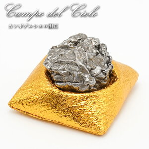 �J���|�E�f���E�V�G�� 覐� �A���[���`���Y ���z�c�t�� �y ��_�� �z Campo del Cielo Meteorite IAB�S覐� �J���|�E�f���E�V�G��覐� ���� �V�R�� �p���[�X�g�[�� �J���[�X�g�[��