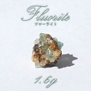 t[Cg  1.6g CMX W[Y y _ z Fluolite u VR p[Xg[ J[Xg[
