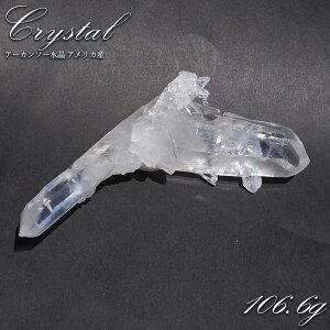 A[J\[  AJY y_z Zecadesouza Quartz H  VR p[Xg[ J[Xg[