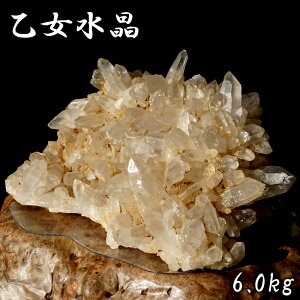 R  6.0kg RY yz _ Otome Quartz zR Y   VR p[Xg[ J[Xg[